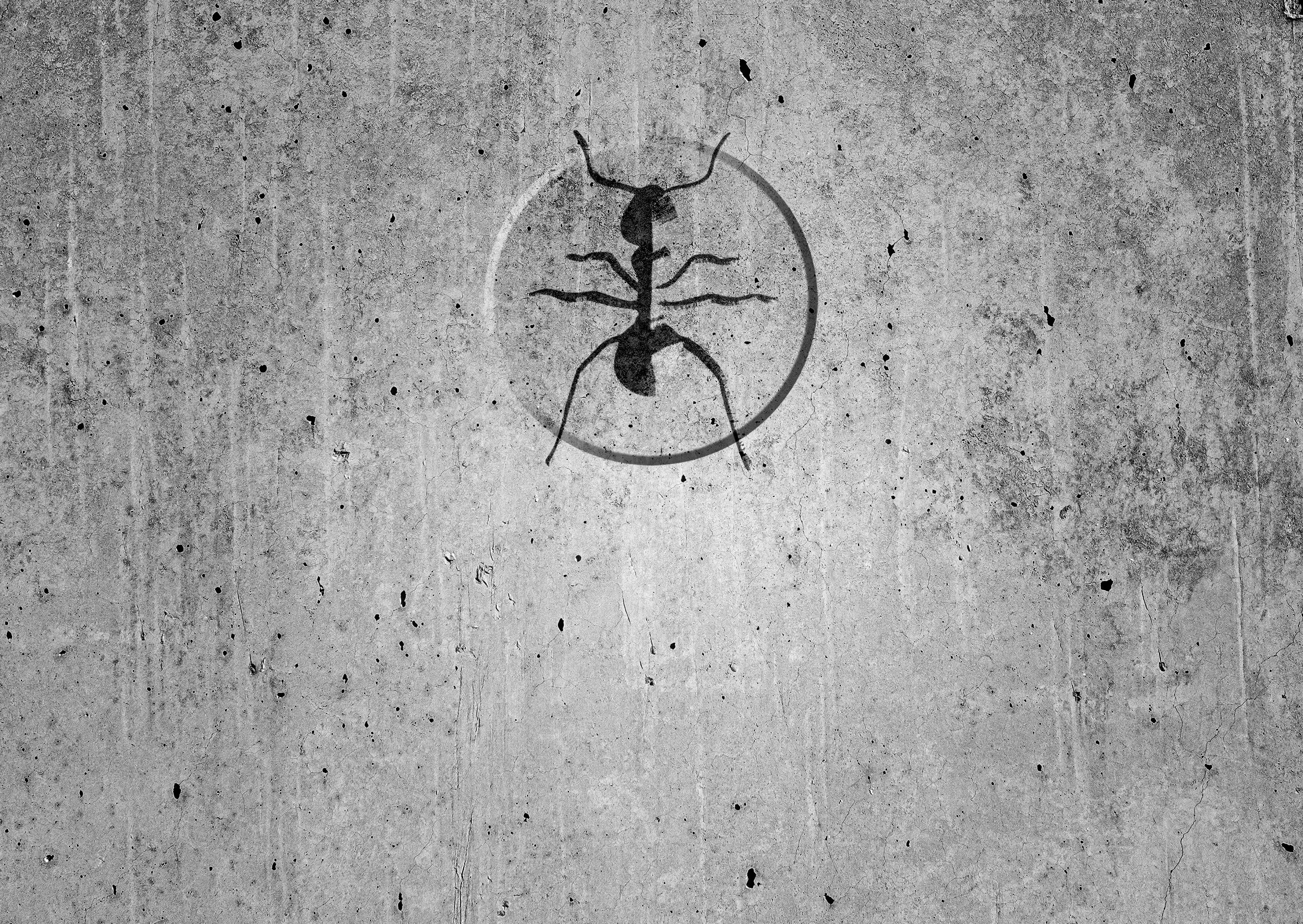 Concrete+ant_liggande